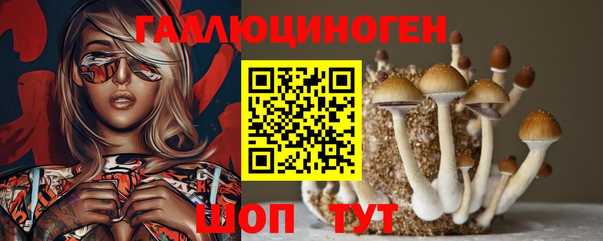 Галлюциногенные грибы Psilocybine cubensis Саратов